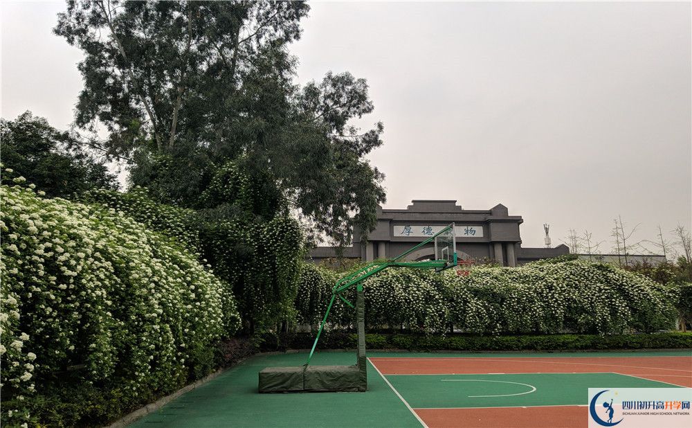 成都大學(xué)附屬中學(xué)2020清華北大錄取學(xué)生是多少？