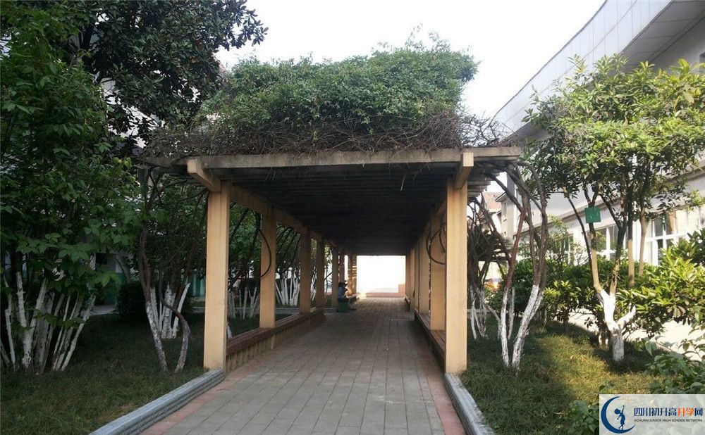 通錦中學(xué)2020年清華北大錄取學(xué)生有多少？