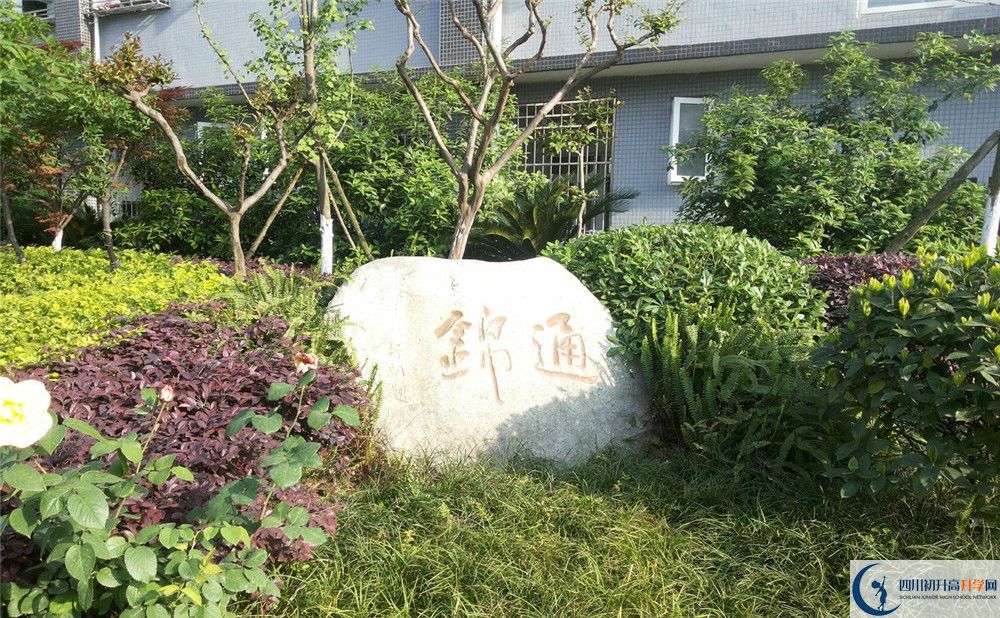 2020年通錦中學自主招生成績查詢怎么查？