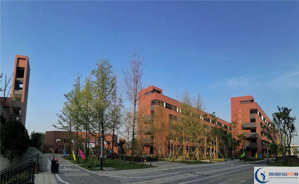 電子科技大學(xué)實(shí)驗(yàn)中學(xué)2020年清華北大錄取學(xué)生有多少？