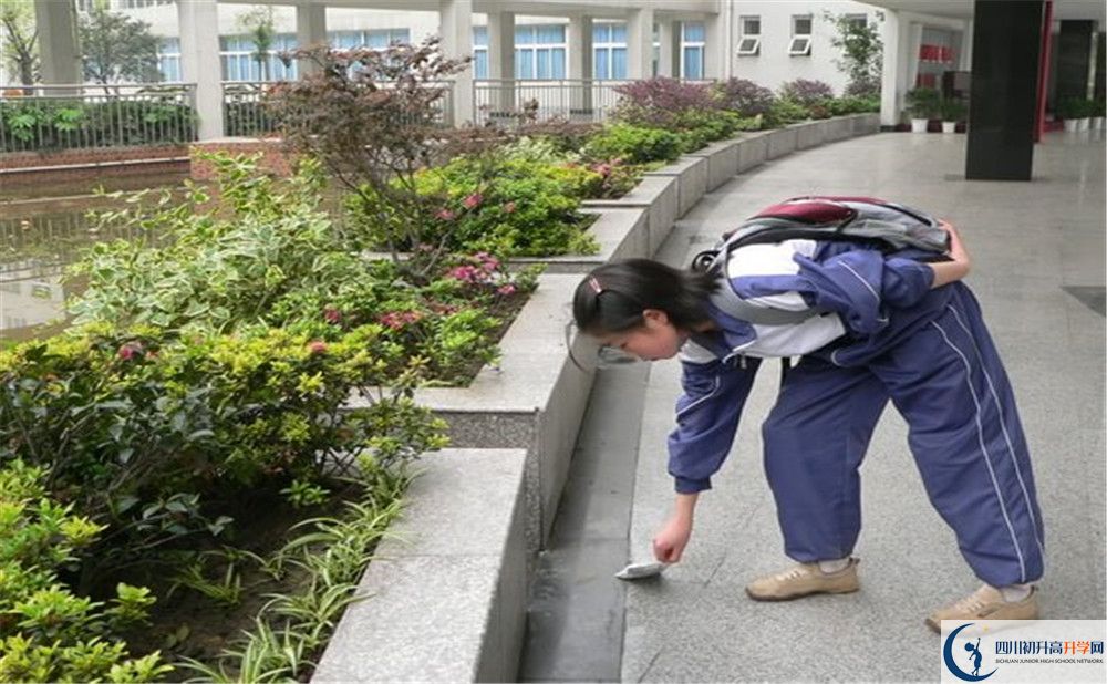 成都市龍泉中學(xué)初升高向外地招生嗎？