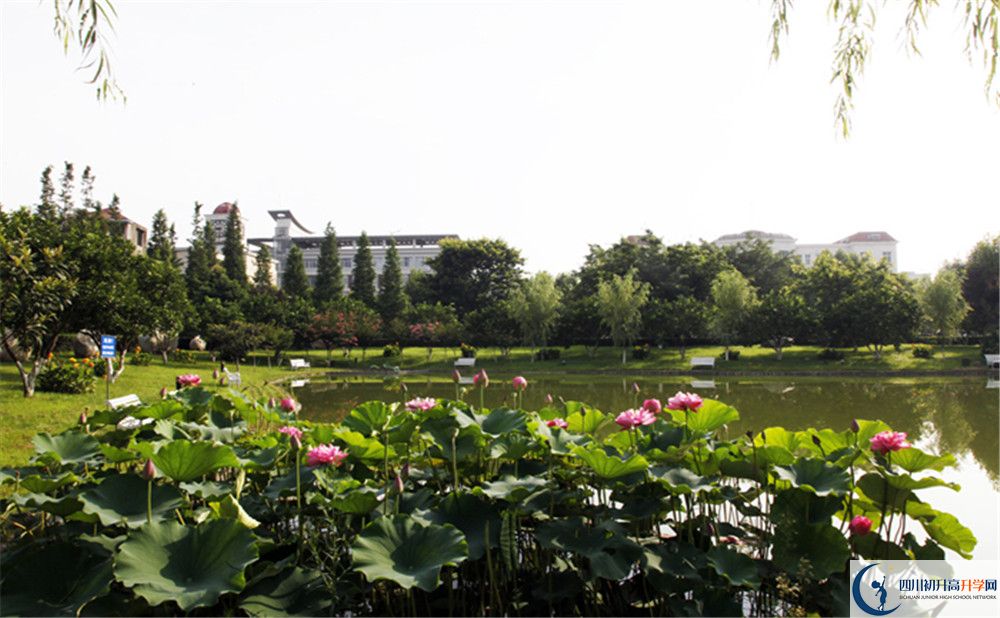 成都教科院附屬學(xué)校2020年保送清華北大的人數(shù)是多少？