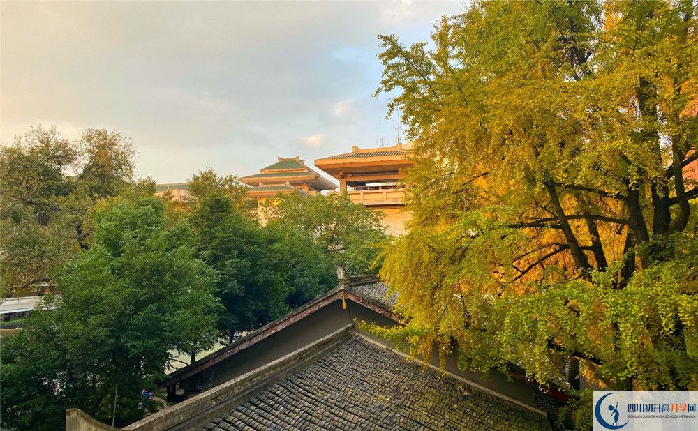 成都石室中學(xué)位置在哪里？