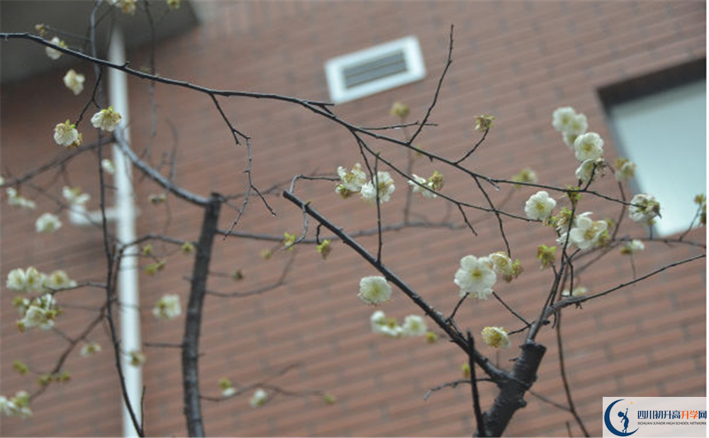 成都市華陽中學是私立還是公立學校？