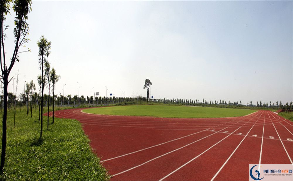 2020川師大附屬第三實(shí)驗(yàn)中學(xué)高考重點(diǎn)大學(xué)升學(xué)率是多少？