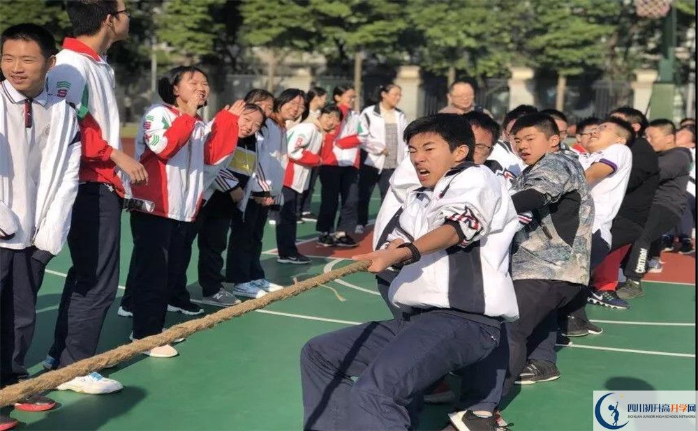成都樹德中學(xué)面向全國(guó)招生嗎？