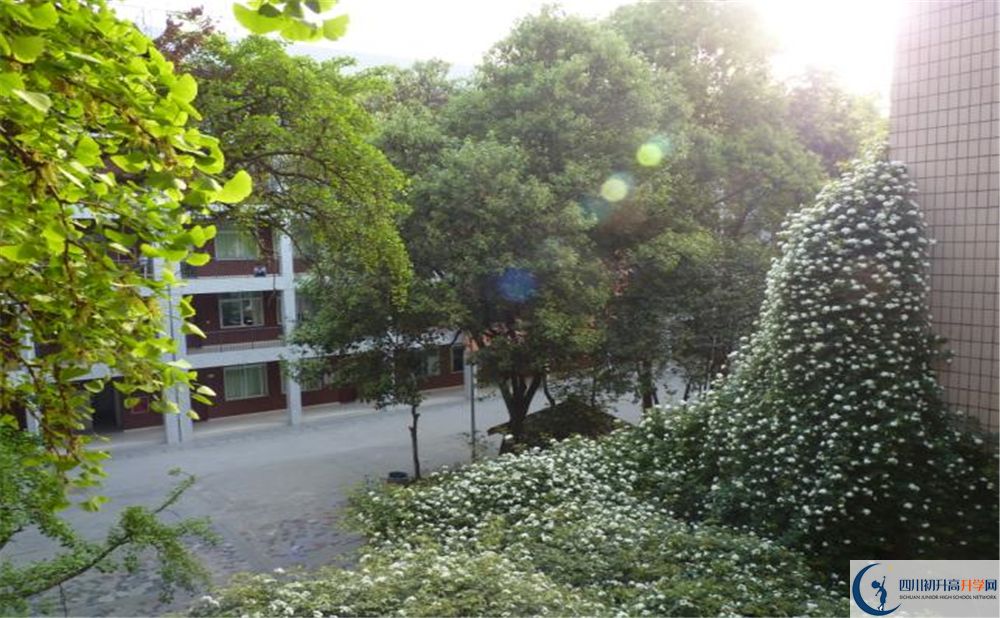 石室聯(lián)合中學蜀華分校高中分班考試難嗎？