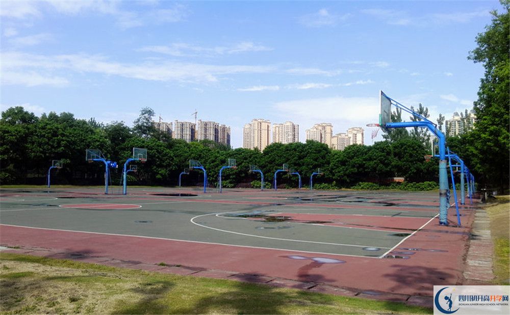 成都實(shí)驗(yàn)外國(guó)語(yǔ)學(xué)校（西區(qū)）補(bǔ)課嗎？