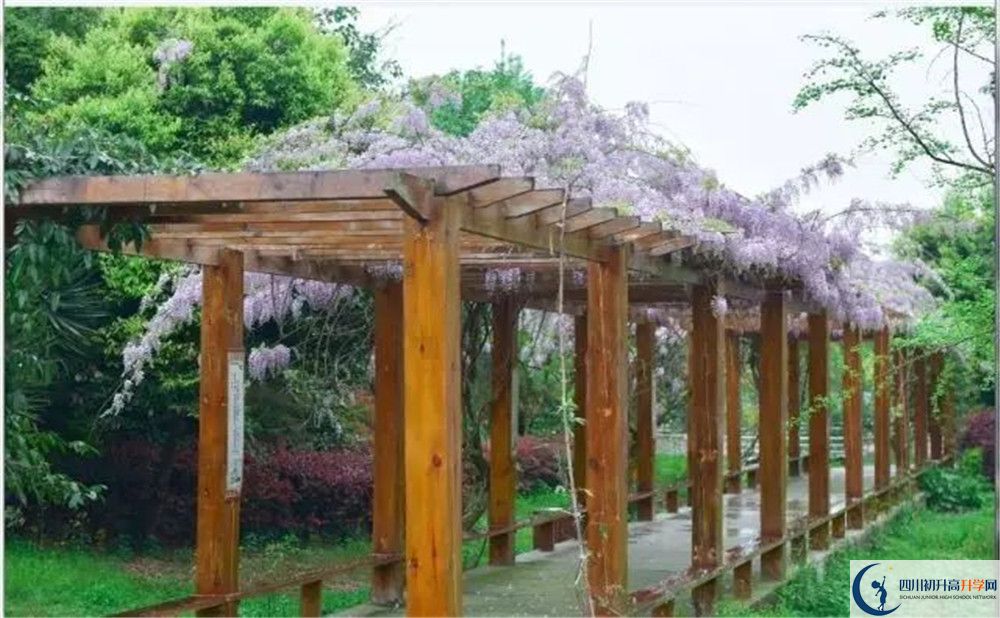 廣安花橋中學(xué)高三診斷考試時(shí)間怎么安排？