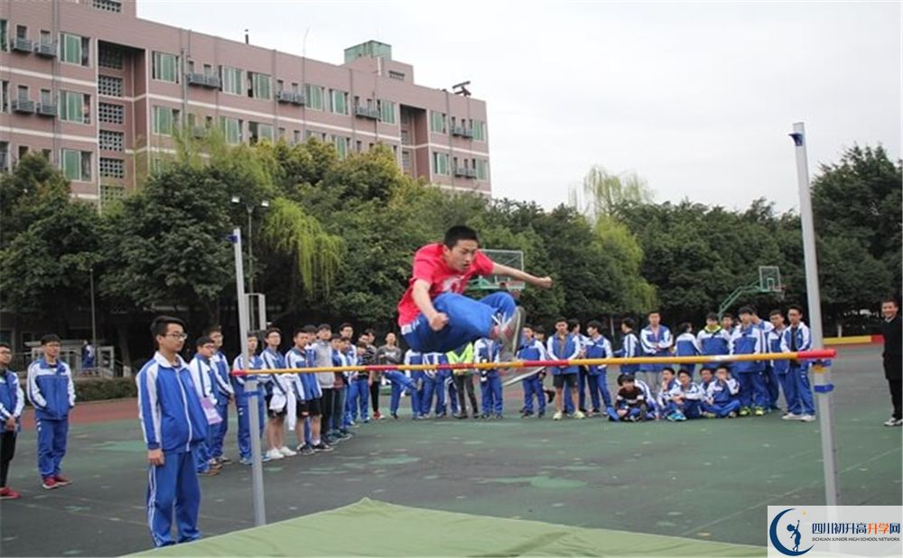 成都石室佳興外國語學校是怎么分班的？