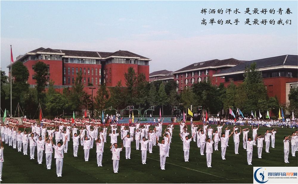 七中高新校區(qū)2020年中考重點(diǎn)率多少？