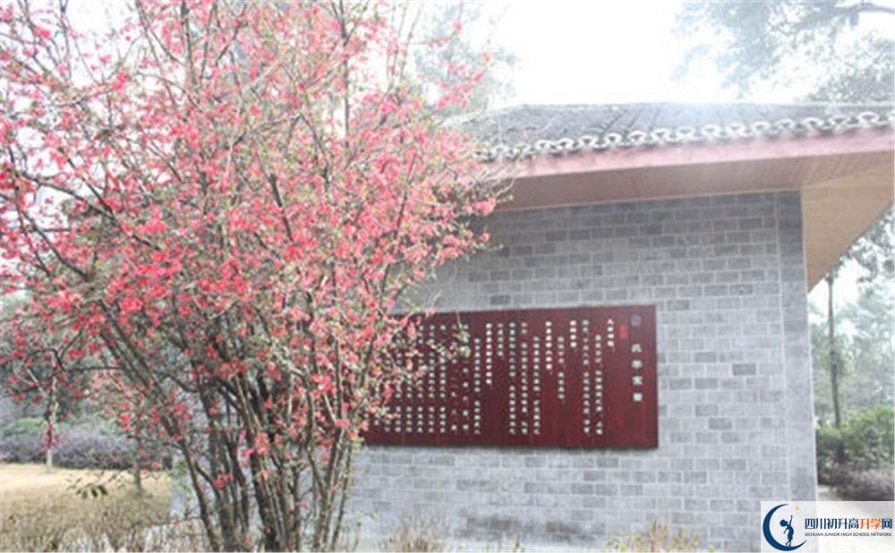 彭州中學(xué)2020年排名高不高？