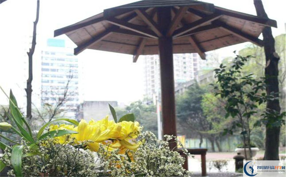 成都石室聯(lián)中蜀華分校2020年升學(xué)率高不高？