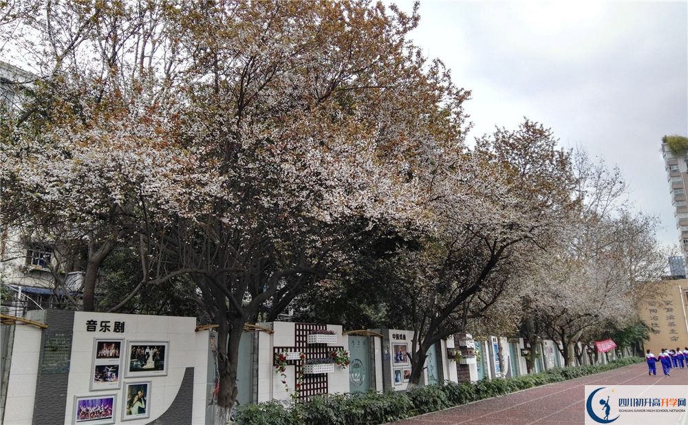 成都大學附屬中學2020年高考成績好不好？