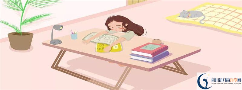 去年宜賓翠屏棠湖外語學(xué)校的本科升學(xué)率是多少？